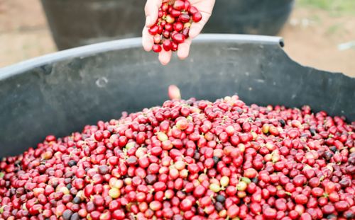 3元多，品味現(xiàn)磨精品咖啡與甜點(diǎn)時(shí)光